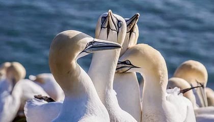 2025首届山东省“泰山小将”数选未来足球精英赛收官